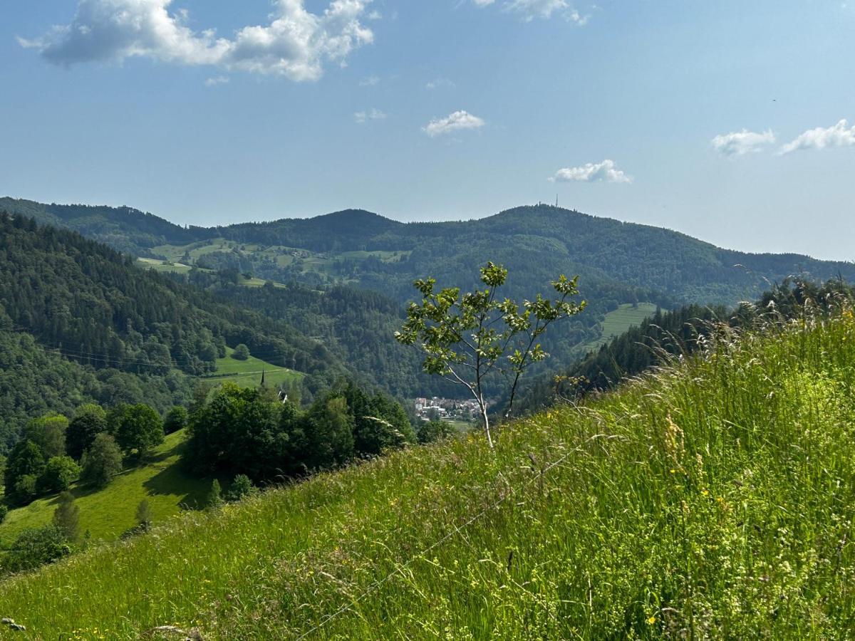 Cella Apartments **** Zell im Wiesenthal Exteriör bild